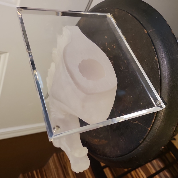 Mid Century Modern Lucite Frosted Horse Head 11" - Picture 7 of 8